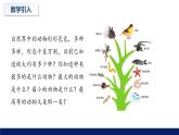 北师大版八年级生物下册课件 22.4 动物的主要类群教学（第一课时）课件