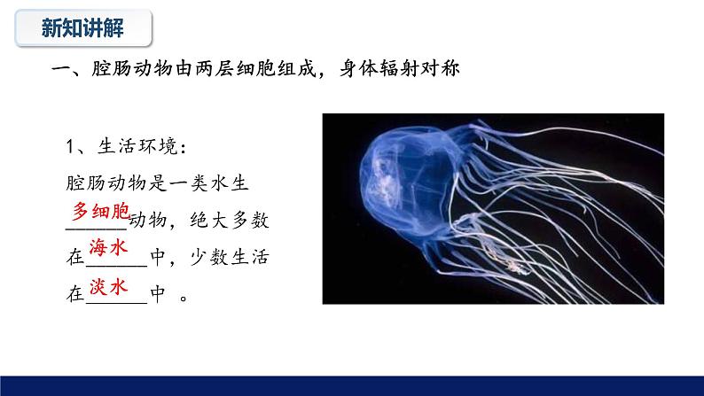 北师大版八年级生物下册课件 22.4 动物的主要类群教学（第一课时）课件06