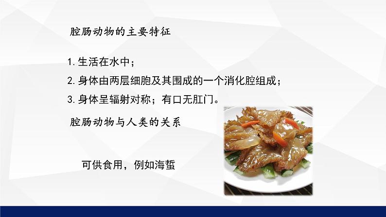 北师大版八年级生物下册课件 22.4 动物的主要类群教学（第一课时）课件08