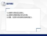 北师大版八年级生物下册课件 22.4 动物的主要类群教学（第二课时）课件