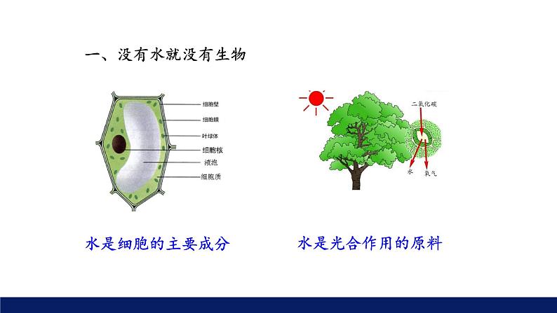 北师大版八年级生物下册课件 23.1 生物的生存依赖一定的环境教学课件07