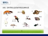 北师大版八年级生物下册课件 23.3 生态系统的结构和功能教学课件