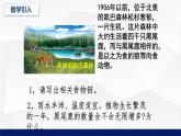 北师大版八年级生物下册课件 23.4 生态系统的稳定性教学课件