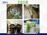 北师大版八年级生物下册课件 25.2 现代生物技术教学课件