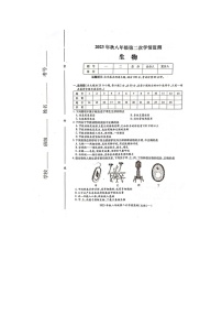 湖南省邵阳市邵东市2023-2024学年八年级上学期12月月考生物试题