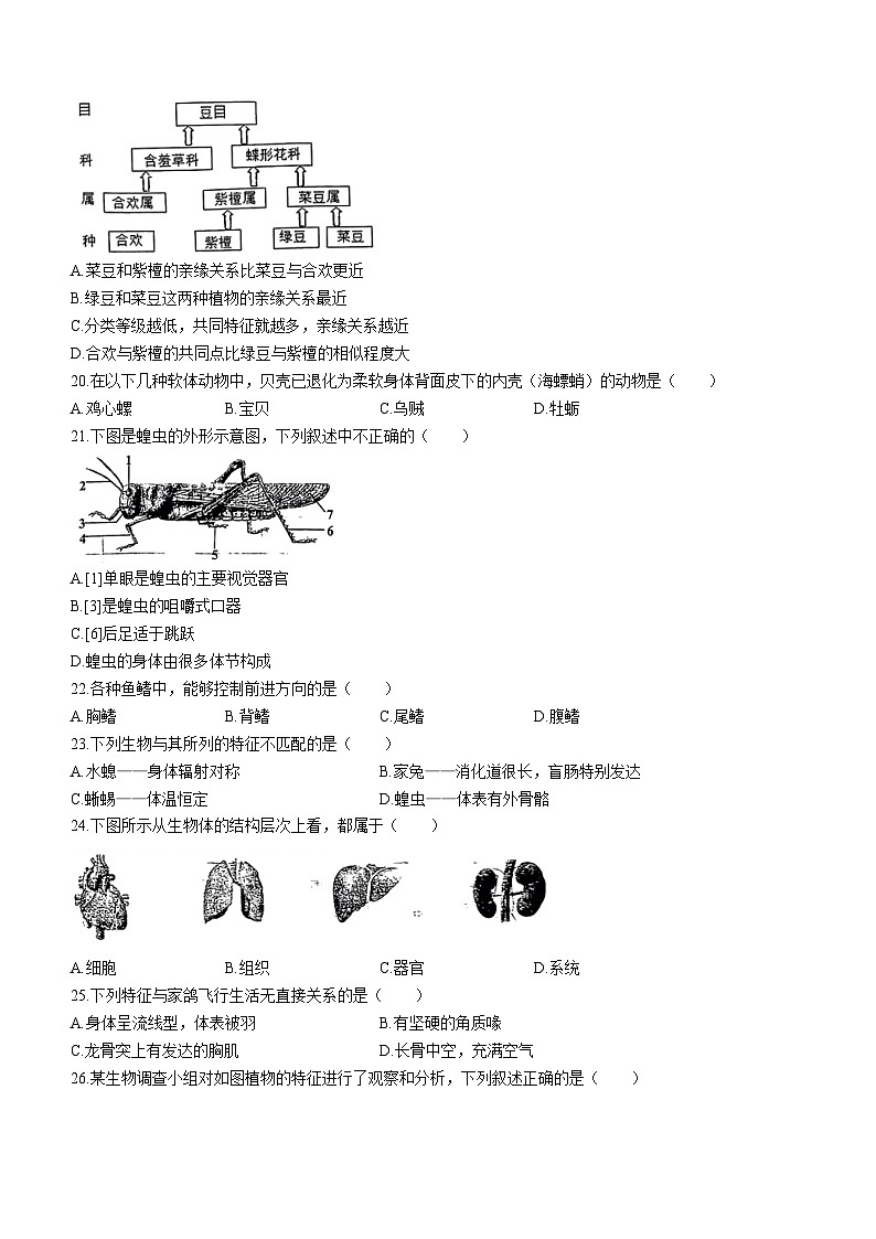 河北省唐山市路南区2021-2022学年七年级上学期期末生物试题03