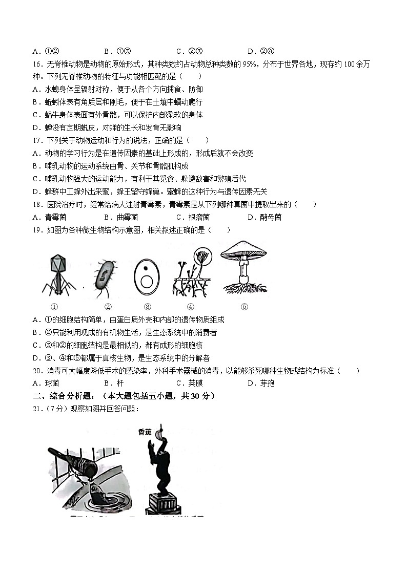 南省商丘市睢阳区坞墙镇中心学校2023-2024学年八年级上学期12月月考生物试题第3页