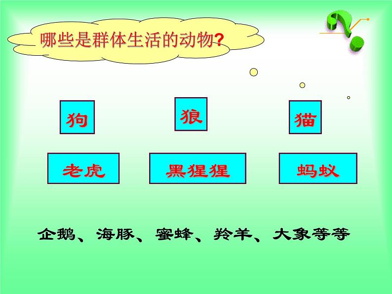 5.2.3 社会行为 教学课件人教版 八年级上册02