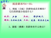 5.2.3 社会行为 教学课件人教版 八年级上册
