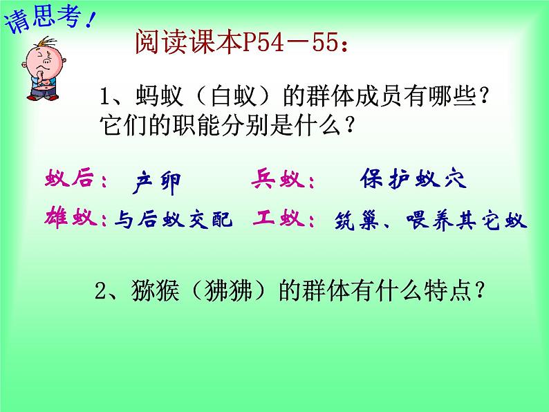 5.2.3 社会行为 教学课件人教版 八年级上册04