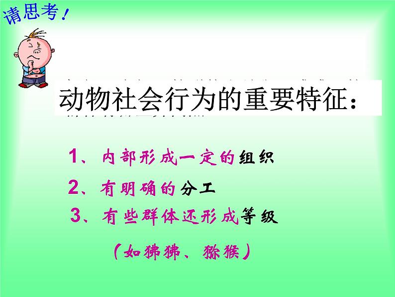 5.2.3 社会行为 教学课件人教版 八年级上册05