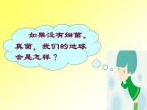 5.4.4 细菌和真菌在自然界中的作用（教学课件）人教版八年级生物上册