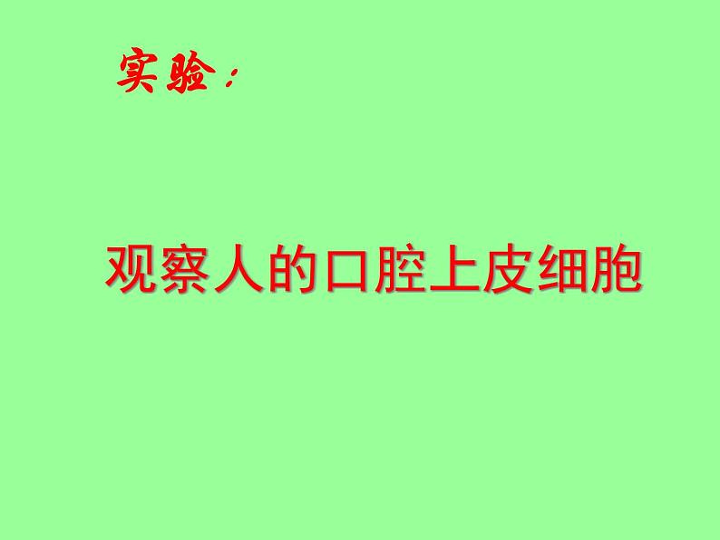 鲁科版六年级上2.1.3观察动物细胞课件03