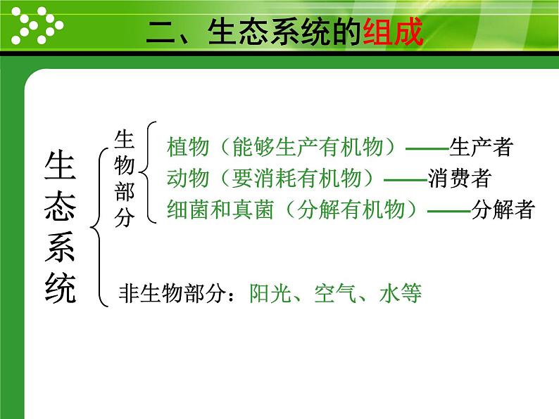 1.2.2生物与环境组成生态系统 课件人教版 七年级上册07