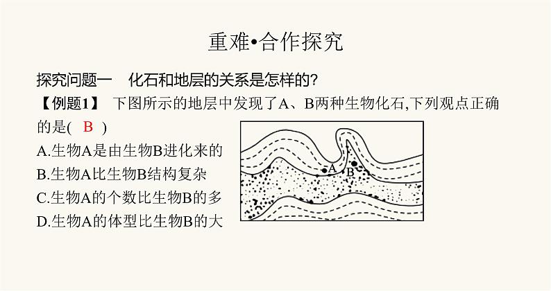 苏教版八年级生物上册第5单元生物的多样性第16章第2节生物进化的历程课件第5页