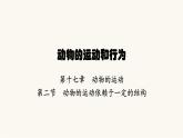 苏教版八年级生物上册第6单元动物的运动和行为第17章第2节动物的运动依赖于一定的结构课件