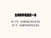 蘇教版八年級(jí)生物上冊(cè)第7單元生物和環(huán)境是統(tǒng)一體第20章第1節(jié)生物圈中的各種生態(tài)系統(tǒng)課件