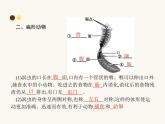 人教版八年级生物上册第5单元生物圈中的其他生物第1章第1节腔肠动物和扁形动物课件
