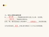 人教版八年级生物上册第5单元生物圈中的其他生物第1章第6节鸟课件