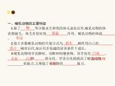 人教版八年级生物上册第5单元生物圈中的其他生物第1章第7节哺乳动物课件