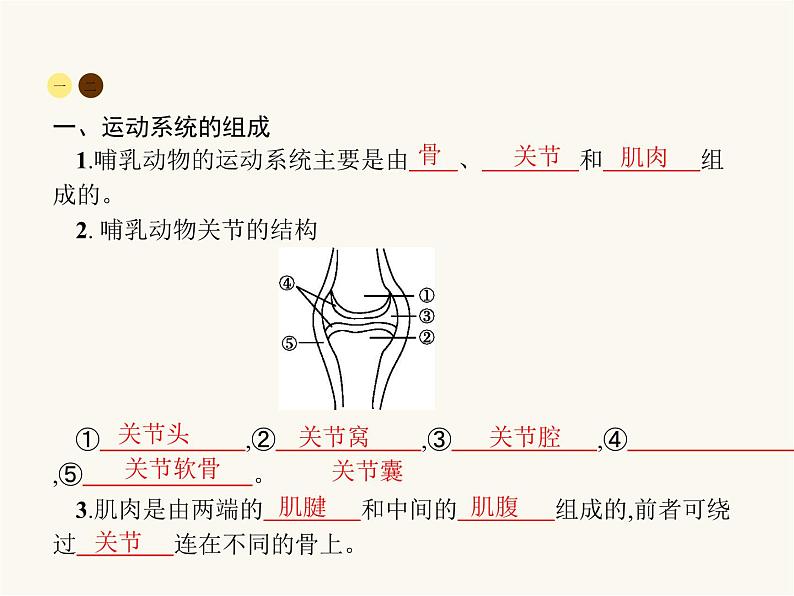 人教版八年级生物上册第5单元生物圈中的其他生物第2章第1节动物的运动课件第2页