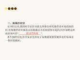 人教版八年级生物上册第5章病毒课件