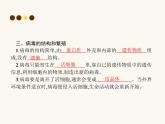 人教版八年级生物上册第5章病毒课件