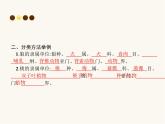 人教版八年级生物上册第6单元生物的多样性及其保护第1章第2节从种到界课件