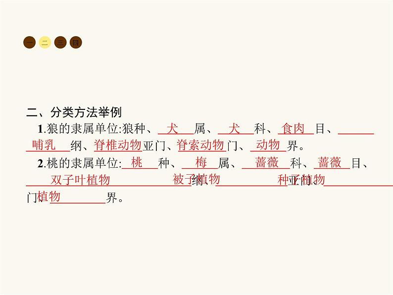 人教版八年级生物上册第6单元生物的多样性及其保护第1章第2节从种到界课件03