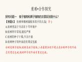 苏教版八年级生物上册第5单元生物的多样性第14章第1节第2课时种子植物课件