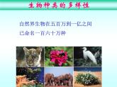6.2认识生物的多样性 教学课件人教版八年级上册