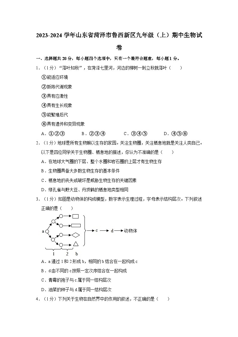 2023-2024学年山东省菏泽市鲁西新区九年级（上）期中生物试卷01