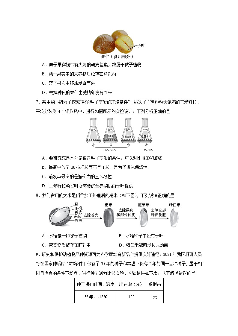 第二章 被子植物的一生-七年级生物上册单元速记·巧练（人教版）02