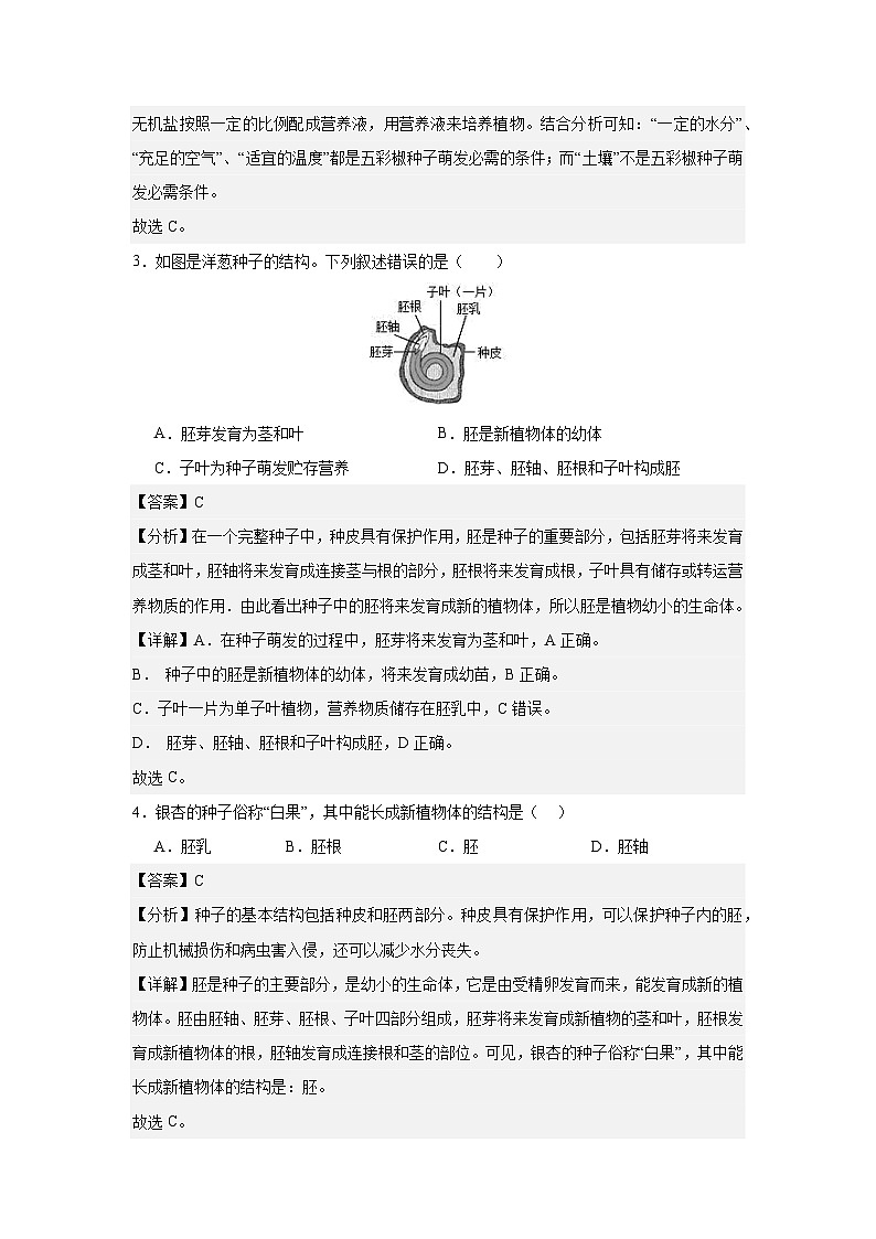 第二章 被子植物的一生-七年级生物上册单元速记·巧练（人教版）02