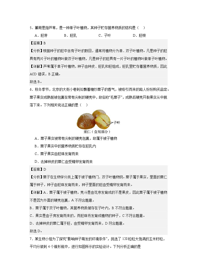 第二章 被子植物的一生-七年级生物上册单元速记·巧练（人教版）03