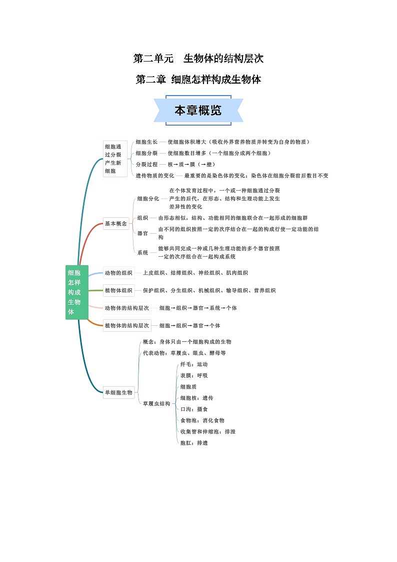 第二章 细胞怎样构成生物体  七年级生物上册单元速记·巧练（人教版）01