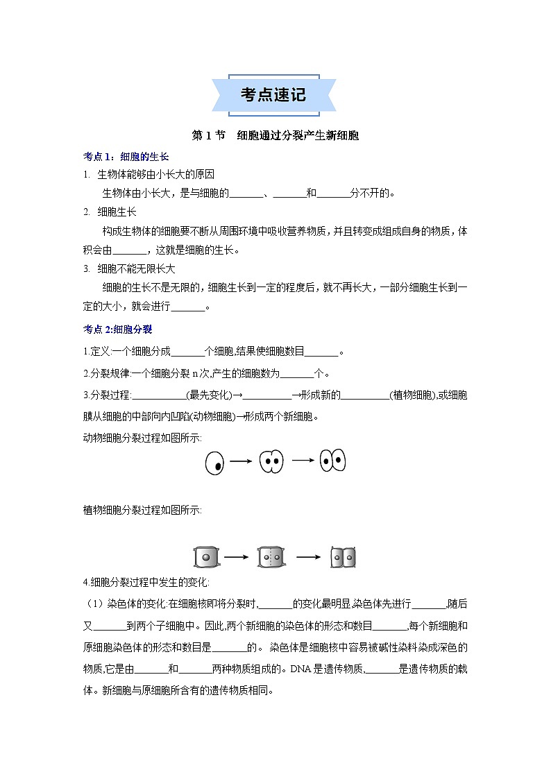 第二章 细胞怎样构成生物体  七年级生物上册单元速记·巧练（人教版）02