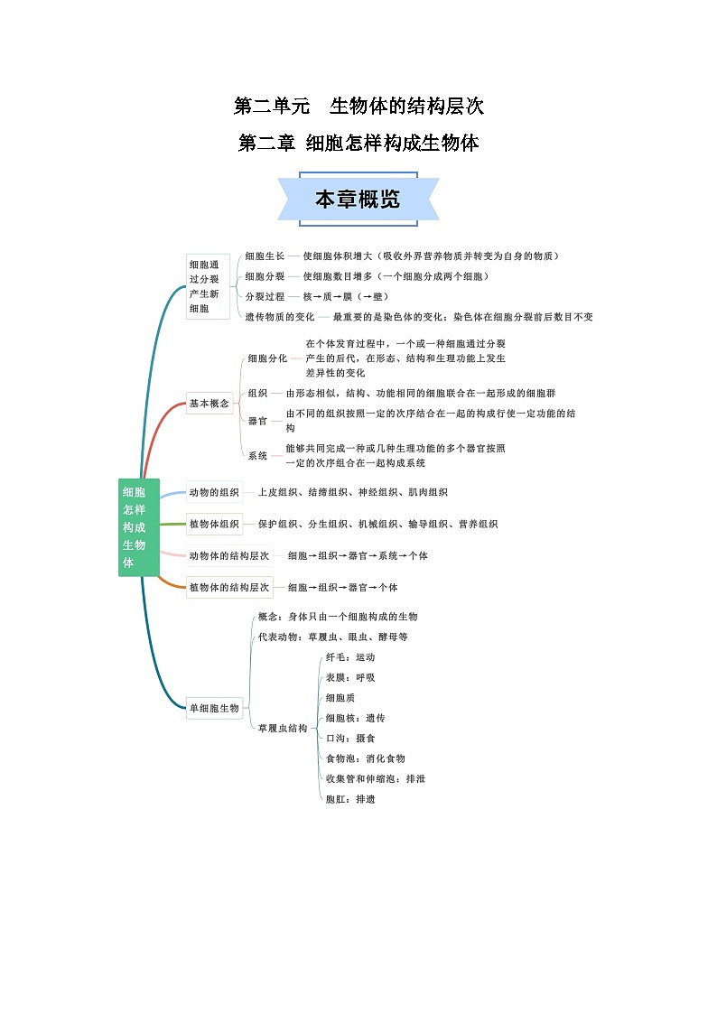 第二章 细胞怎样构成生物体  七年级生物上册单元速记·巧练（人教版）01