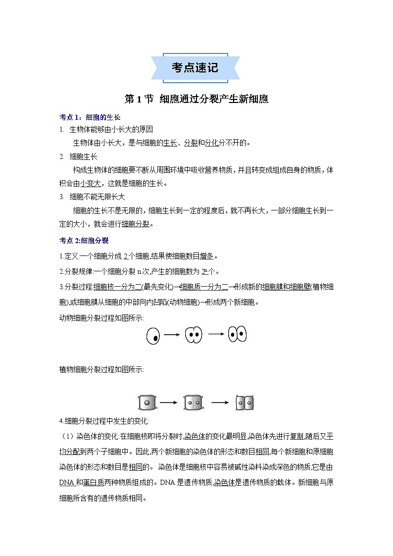 第二章 细胞怎样构成生物体  七年级生物上册单元速记·巧练（人教版）02