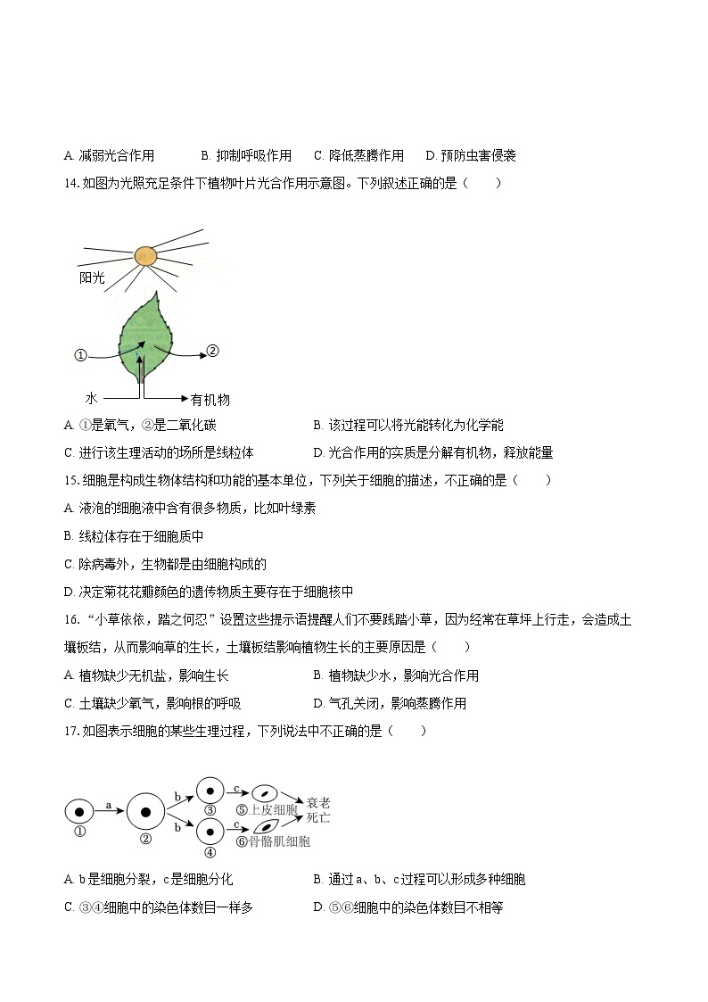 2022-2023学年广东省湛江七中七年级（上）期末生物试卷(含答案解析)03