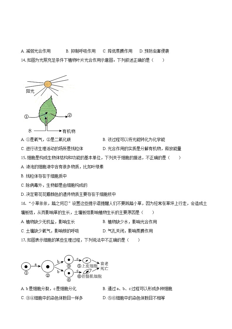 2022-2023学年广东省湛江七中七年级（上）期末生物试卷(含答案解析)03