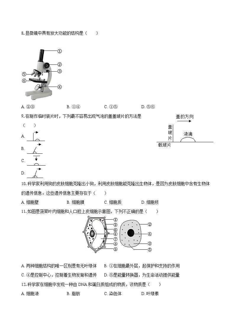 2022-2023学年广东省佛山市南海区、三水区七年级（上）期末生物试卷(含答案解析)02