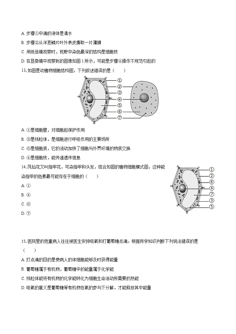 2022-2023学年河南省郑州市巩义市七年级（上）期末生物试卷(含答案解析)03