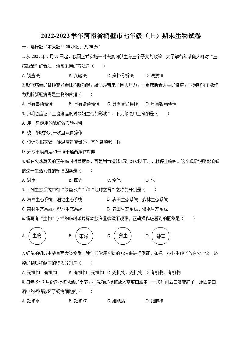 2022-2023学年河南省鹤壁市七年级（上）期末生物试卷(含答案解析)01