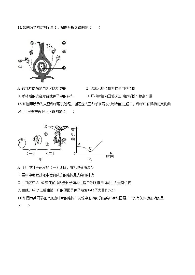 2022-2023学年河南省郑州外国语中学七年级（上）期末生物试卷(含答案解析)第3页