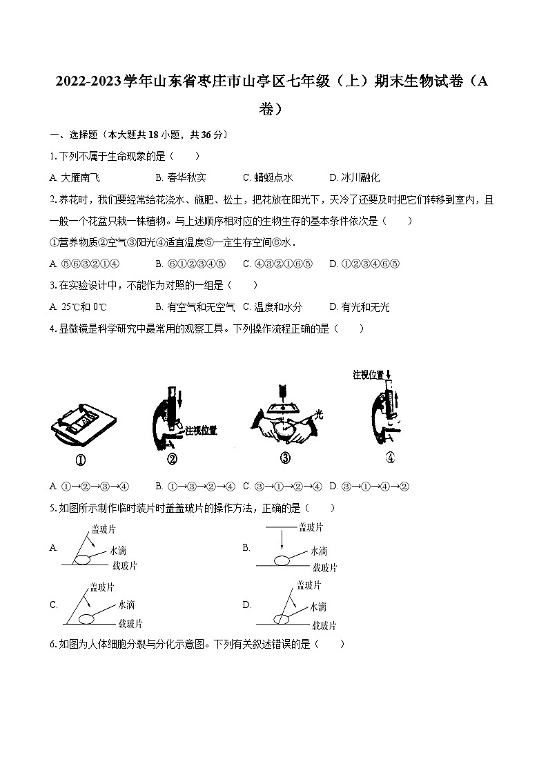 2022-2023学年山东省枣庄市山亭区七年级（上）期末生物试卷（A卷）(含答案解析)01
