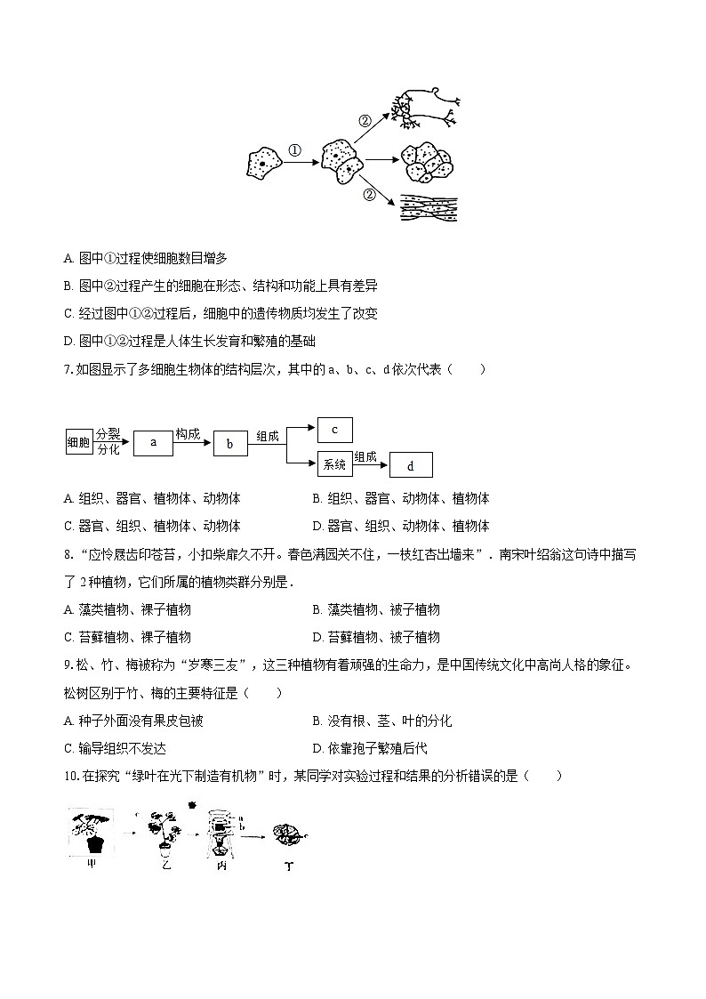 2022-2023学年山东省枣庄市山亭区七年级（上）期末生物试卷（A卷）(含答案解析)02
