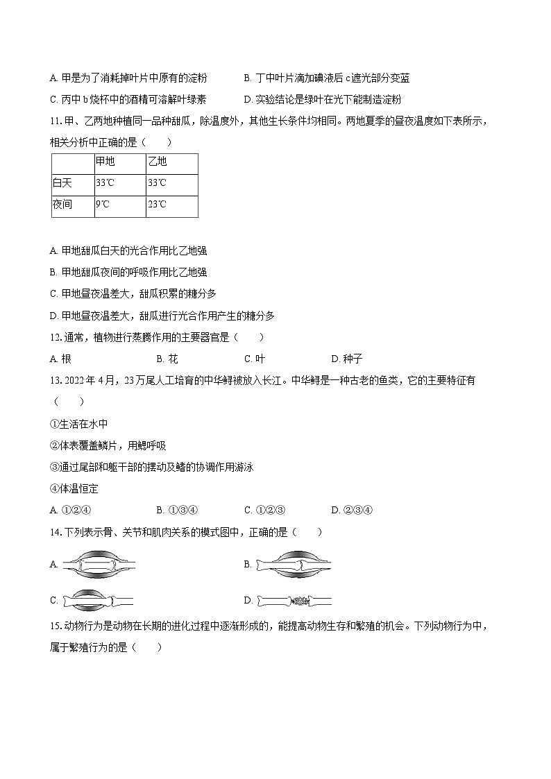 2022-2023学年山东省枣庄市山亭区七年级（上）期末生物试卷（A卷）(含答案解析)03