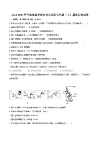 2022-2023学年山东省枣庄市台儿庄区七年级（上）期末生物试卷(含答案解析)