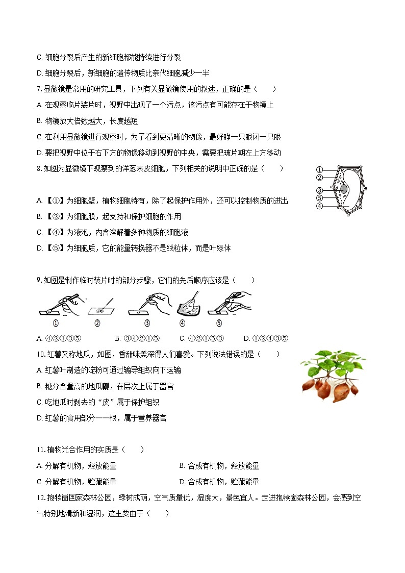 2022-2023学年山东省济宁市邹城六中七年级（上）期末生物试卷(含答案解析)02